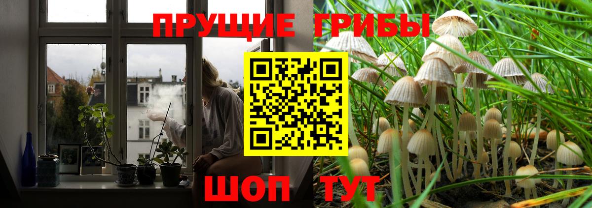 Белая Калитва  Псилоцибиновые грибы мухоморы  Вход с VPN 